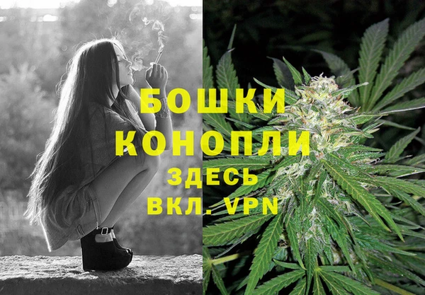 сатива Абдулино