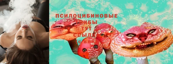 прущая мука Абаза